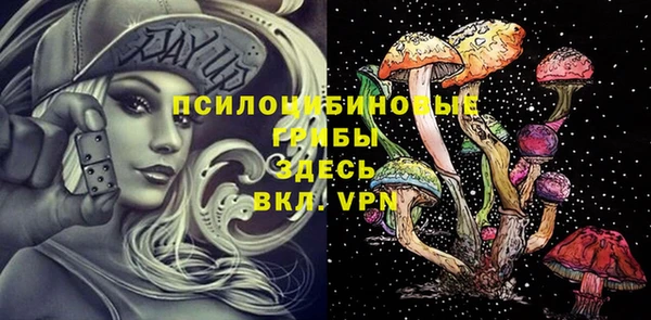 герыч Алексин