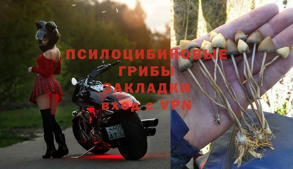 трава Алзамай