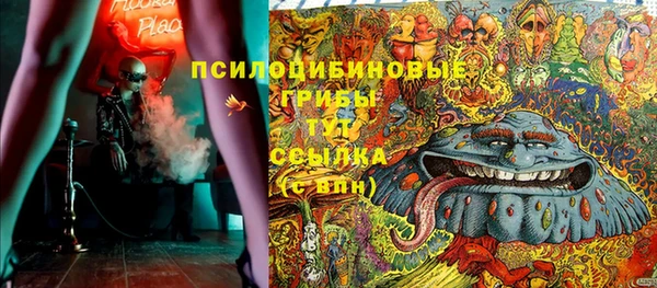 герыч Алексин