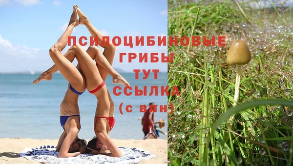герыч Алексин